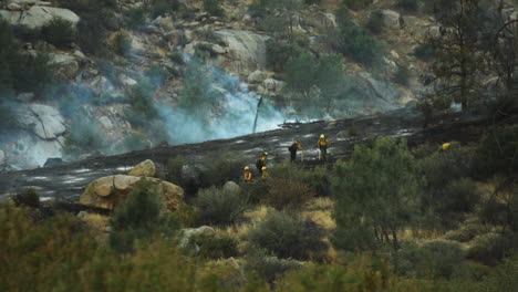 fire fighters on the ground suppressing a bushfire near kern river, june 2020