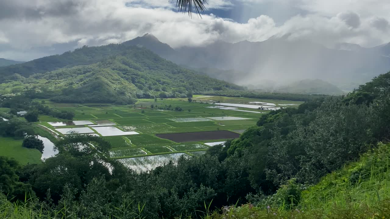 Looking down on moody and cloudy Hanalei Valley taro fields on Kauai