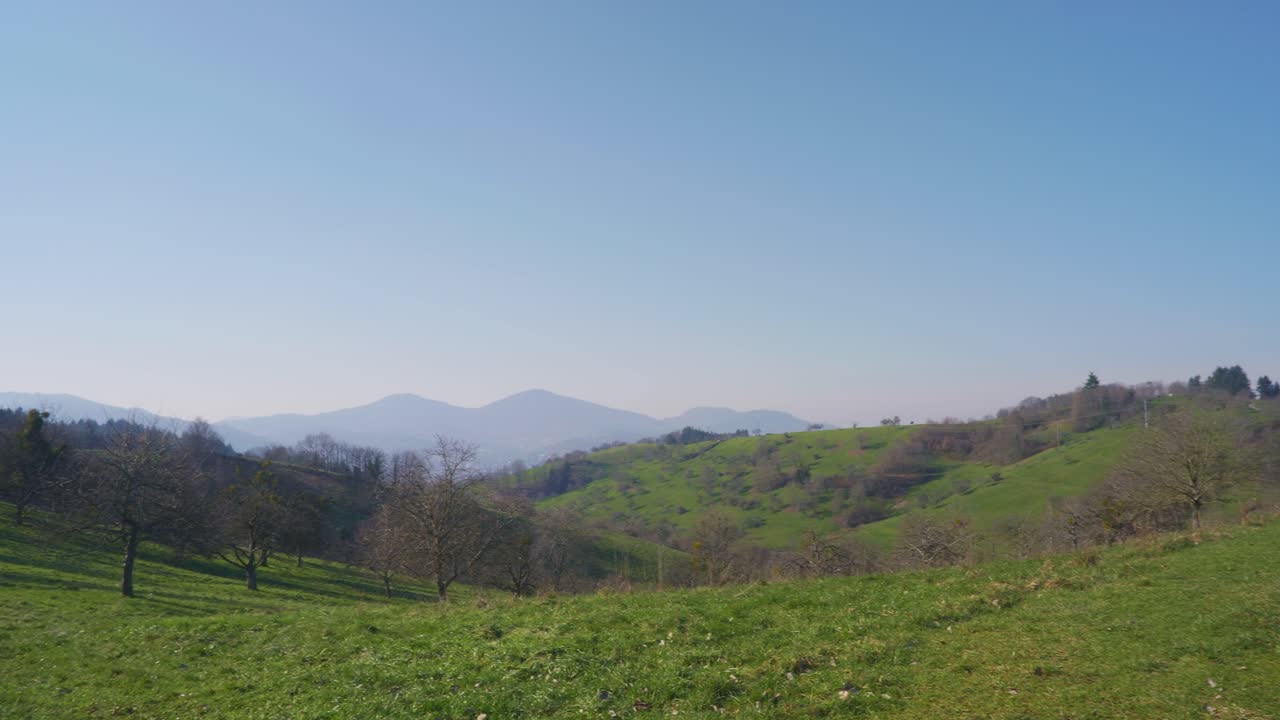 4k의 독일 검은 숲 언덕에 있는 높은 초원을 통과하는 도로