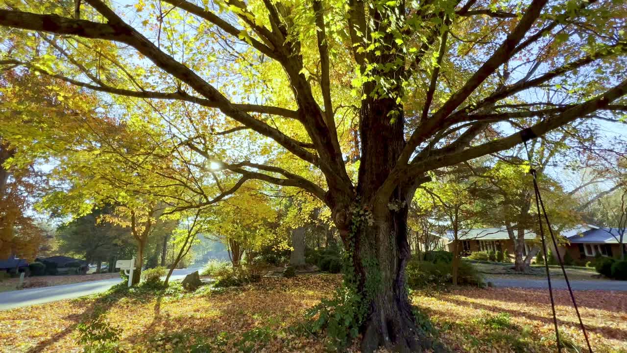 abandonment, missing child, child issues depiction