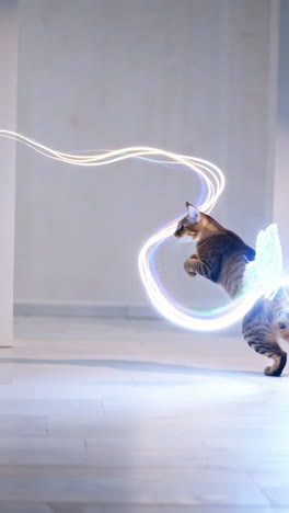 cat with butterfly wings