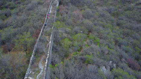 High-angle-view:-Tourists-hike-overgrown-section,-Great-Wall-of-China