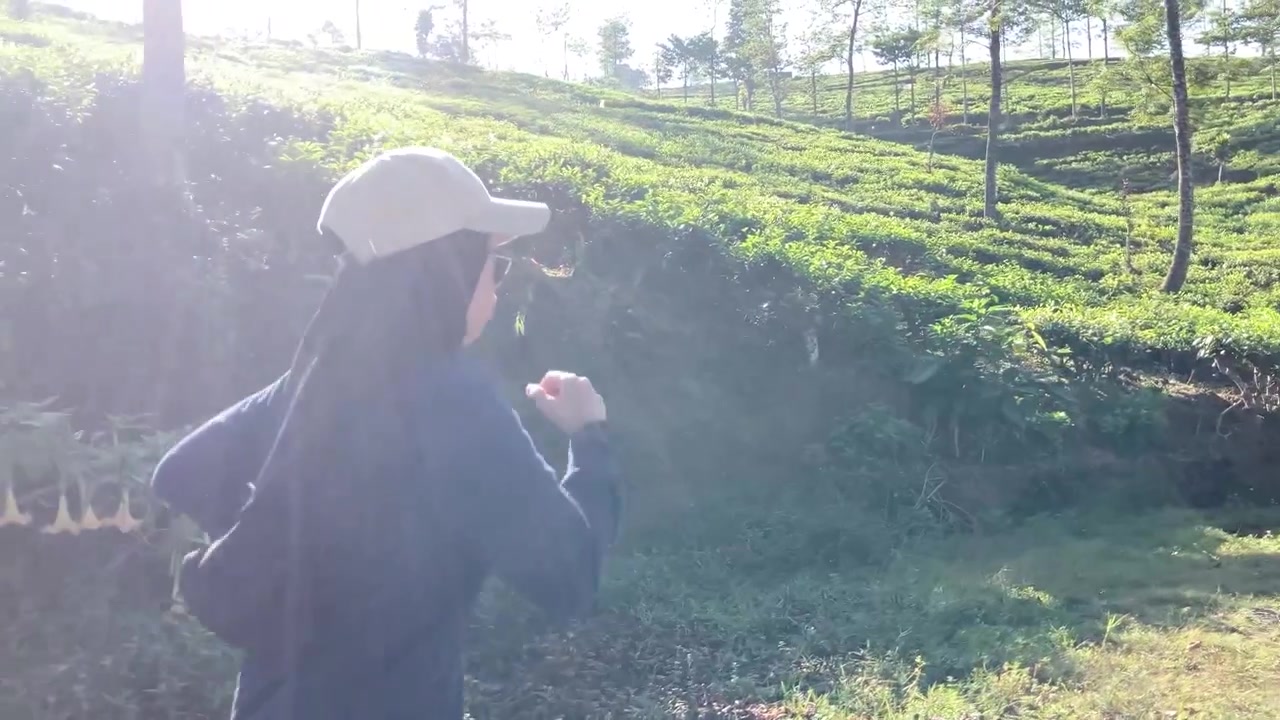 青々とした茶畑の横の小道を、ヒジャブとキャップを着用した若いイスラム教徒の女性がジョギングするスローモーションの横顔。晴れた屋外フィットネスと活動的な健康的なライフスタイルのコンセプト
