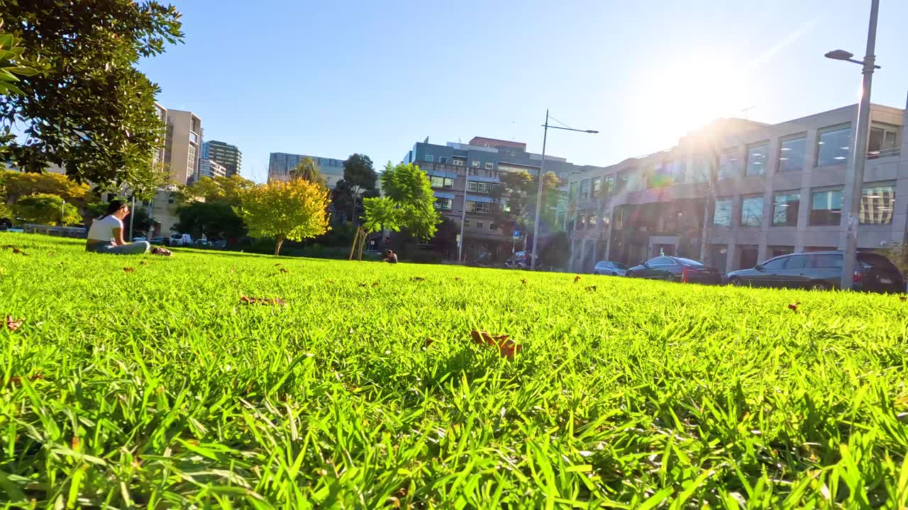Bright, sunny park scene with lush greenery