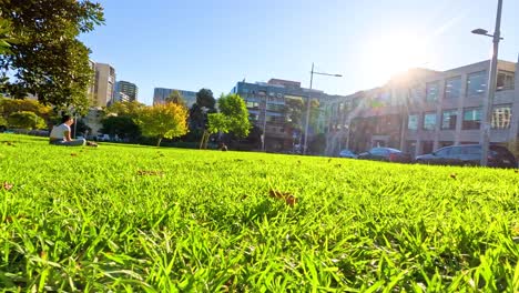 escena de parque brillante y soleado con vegetación exuberante