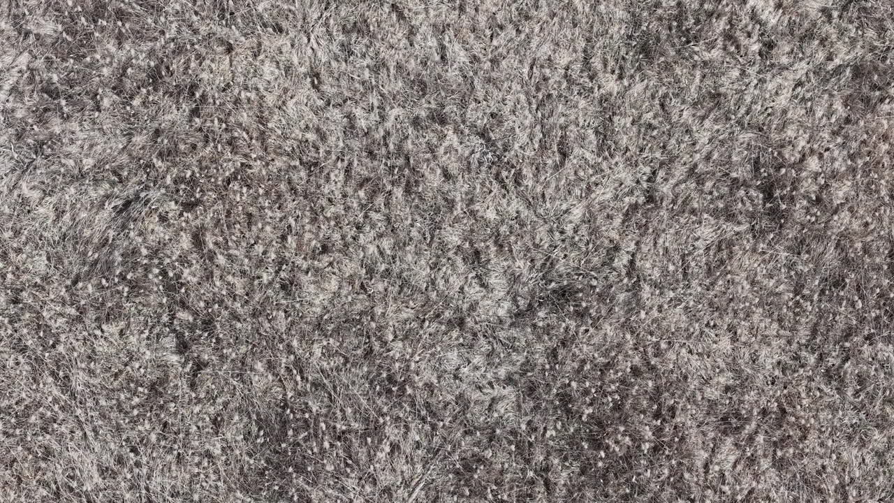 Una vista aerea dall'alto mostra una vasta distesa di erba secca della tundra e vegetazione invernale dormiente. Questa texture naturale evidenzia la bellezza desolata di un paesaggio freddo e brullo durante l'autunno