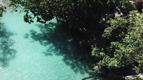 flying in treetops over blue lagoon people jumping into stunning clear water