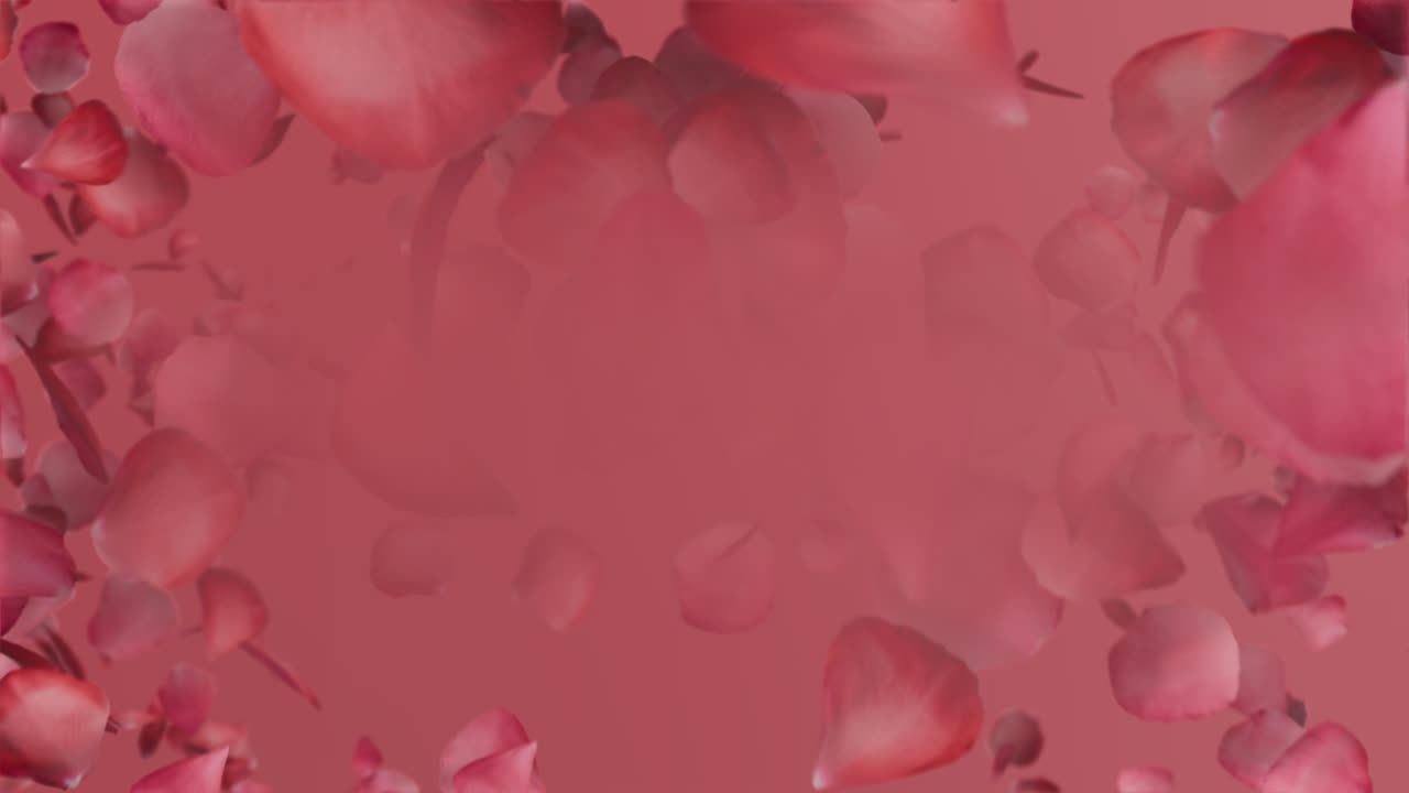 Transição de Vórtice Floral com Canal Alfa