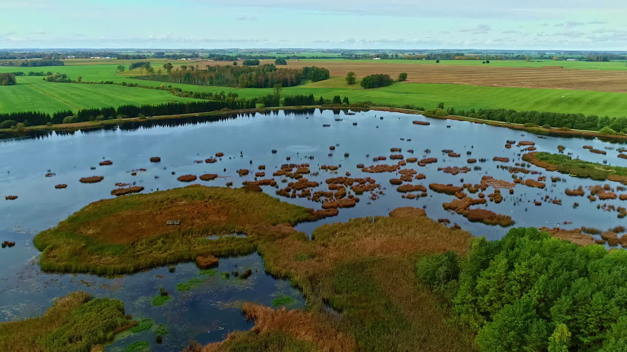 коричневая растительность в большом спокойном озере между сельской местностью