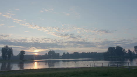 bird flying by over a lake with the early morning sun rising