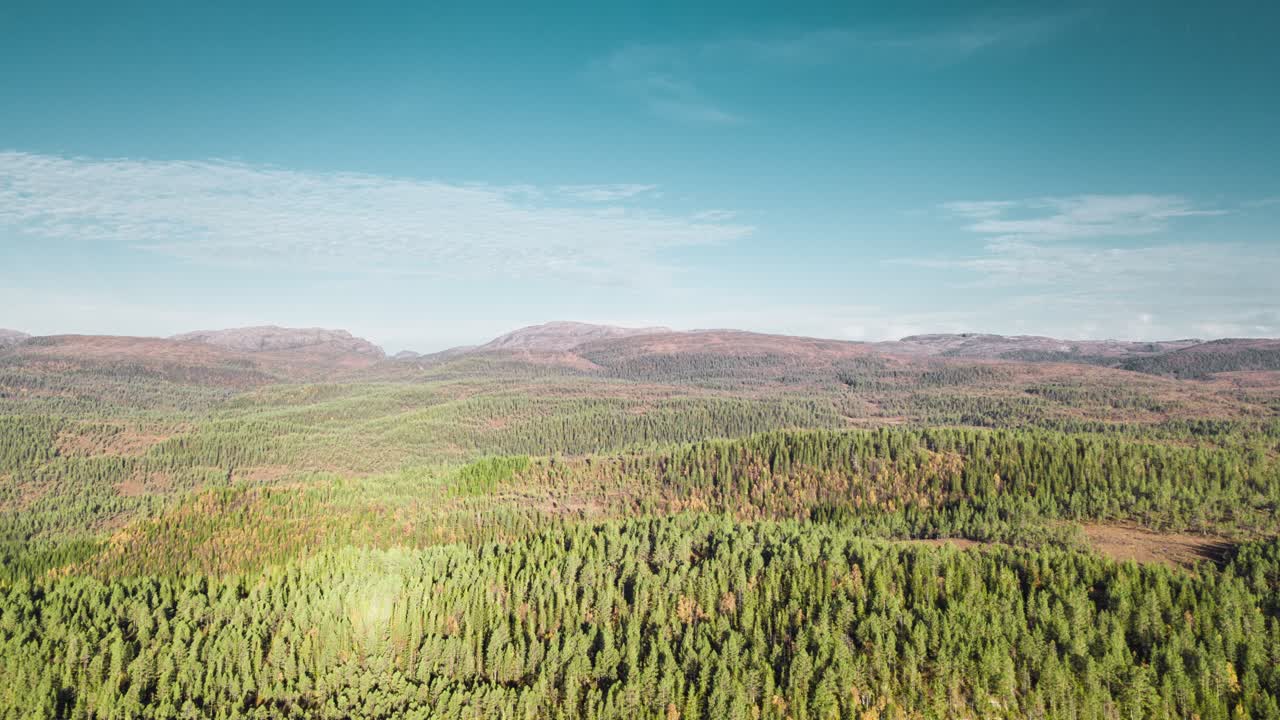 vista aérea del valle todo cubierto por un bosque de pinos siempre verde