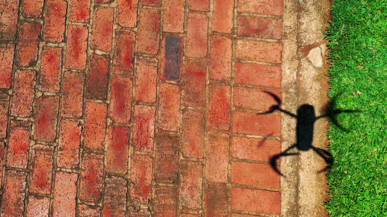 Barking Jack Russell dog jumping to catch drone