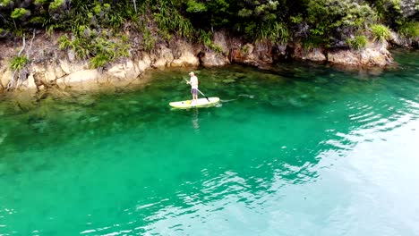 Man-paddle-boards-on-calm-water-next-to-a-wild-coastline-in-the-Marlborough-Sounds-of-New-Zealand