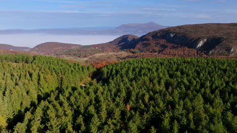 Aerial View of Lush Forests and Misty Mountains in Autumn