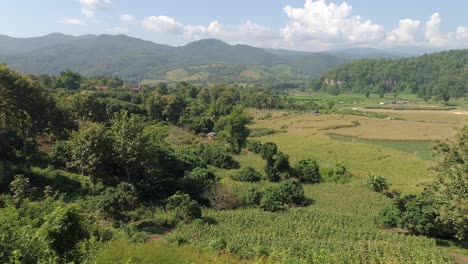 scenic view of a valley with green fields and mountains