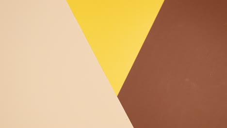golden and green tropic palm leaves arrangement appear on golden nude background. stop motion