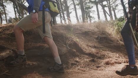 Happy-african-american-couple-hiking-with-trekking-poles-in-forest,-slow-motion