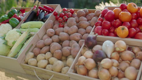 A-beautiful-stall-with-vegetables-at-the-farmers'-market.-Healthy-food-from-local-farmers