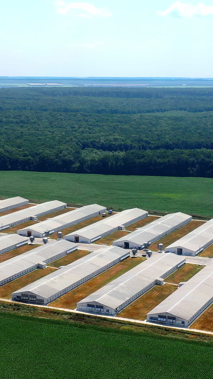 Agricultural factory with barn houses among nature. Modern farm on green forests background. Agriculture farming. Aerial view. Vertical video