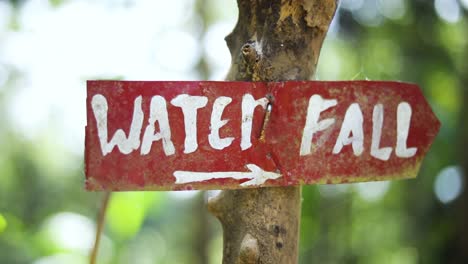 slow motion shot of a sign coming into focus that says waterfall with an arrow pointing down the trail