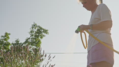 Mujer-Gardner-Regando-Plantas-De-Jardín-En-Una-Brillante-Mañana-De-Verano