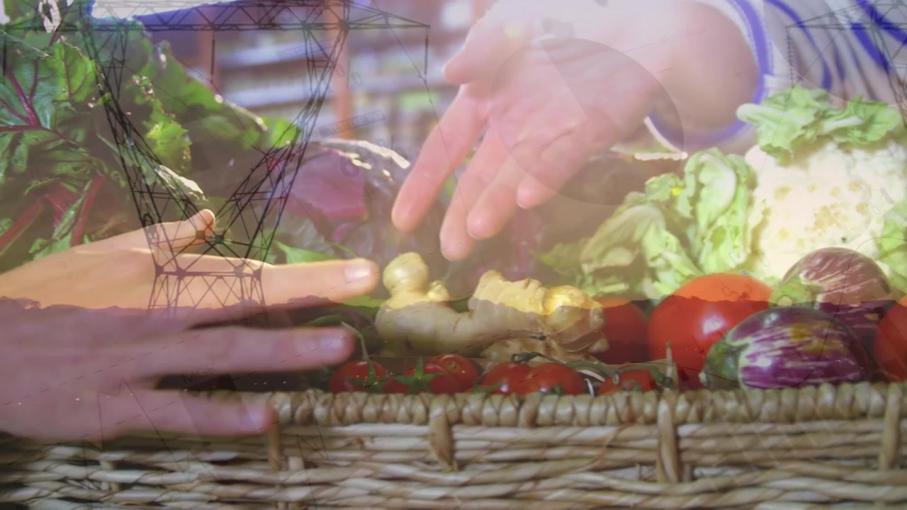 Animation of electricity pylon over hands of female greengrocer, customer and basket of vegetables