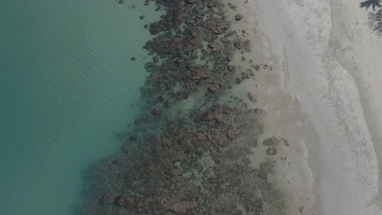 Fondale marino roccioso sotto acqua cristallina a Myall Beach nel QLD, Australia.