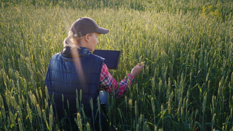 joven agricultora trabajando en un campo de trigo verde estudiando brotes usando una tableta