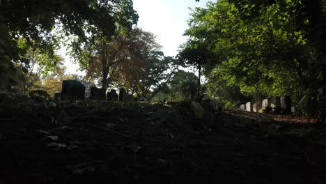 Wide-day-time-establishing-shot-of-tombstones-in-the-park