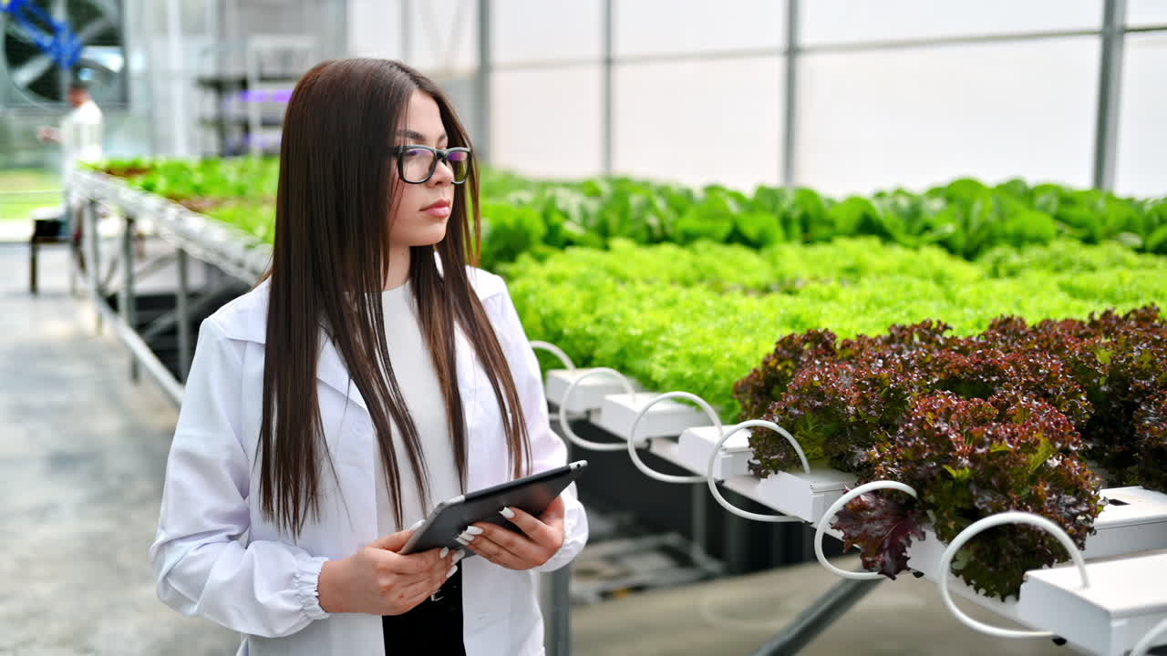 Laboratory technician in a white coat, analysing plants grown with the Hydroponic method in a greenhouse