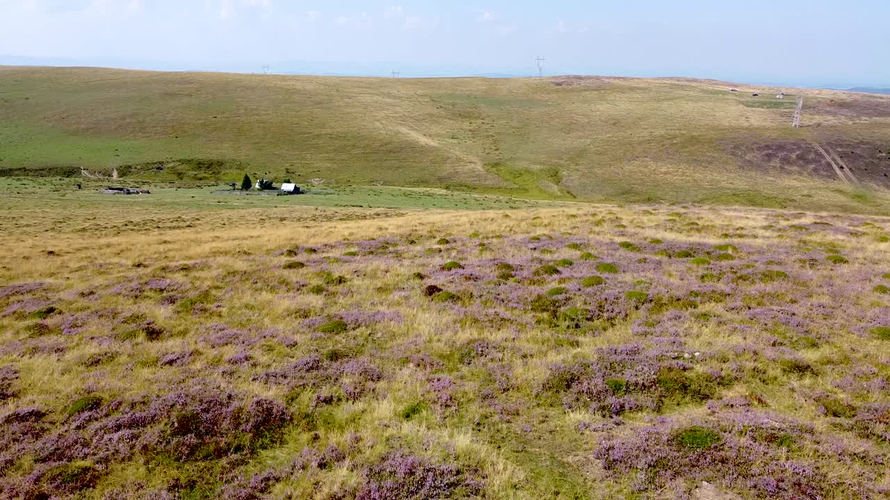 양 떼를 볼 수 있는 이자르 산의 여름