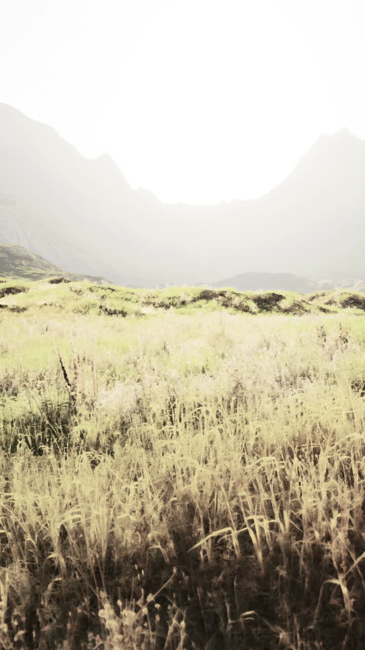 잔디과 산이 있는 아름다운 풍경