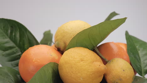 cítricos limón y naranja girando sobre fondo blanco