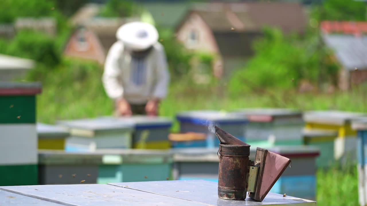 Smoker tool stands on bee hive. Beekeeping chimney smokes on the blur background of apiary in rural place. Apiculture.