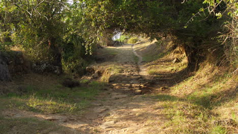 stone pathway on the camino real barichara to guane