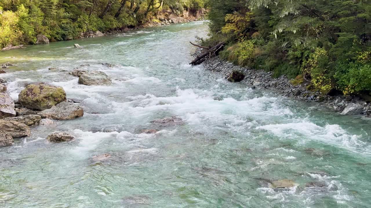 La telecamera si muove fluidamente lungo un chiaro fiume glaciale con rapide rocciose, circondato da una fitta foresta temperata e sponde muschiose alla luce del giorno.