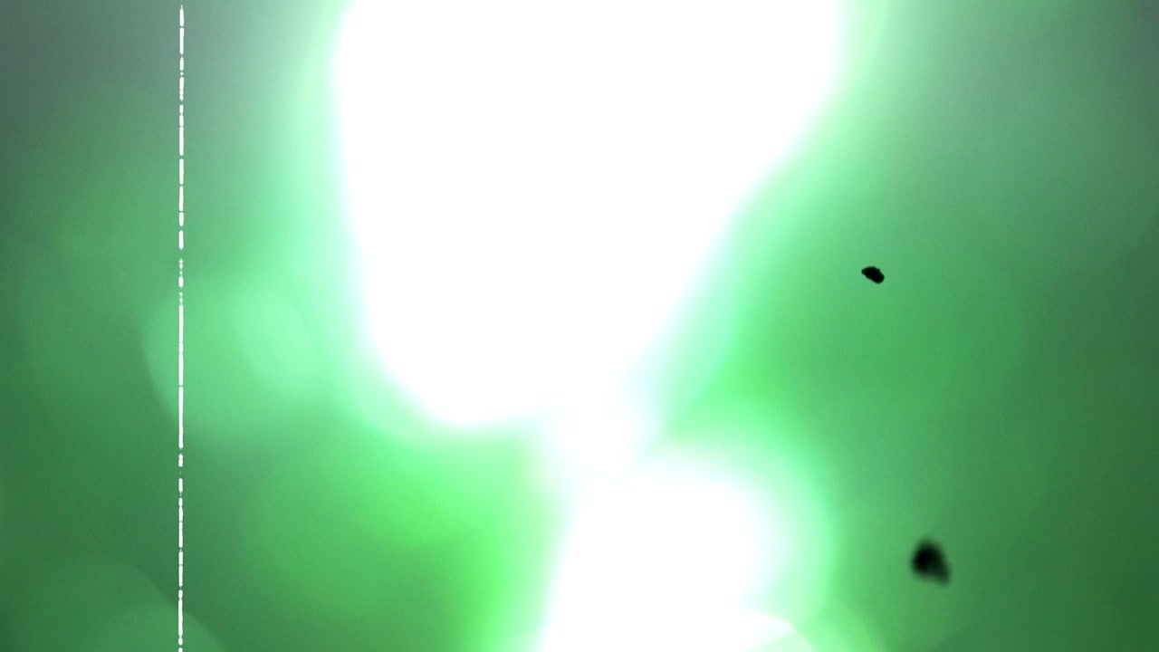 Dynamic Green Lens Flare and Bokeh Light Effect