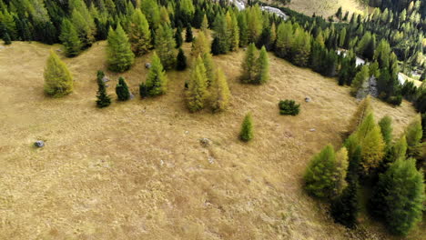 Drone-flying-over-fall-trees-changing-colors-in-mountains-with-a-road