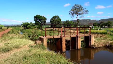 Establecedor-Amplia-Toma-De-Represa-De-Zanja-De-Riego-Utilizada-Para-Campos-De-Arroz,-Tanzania