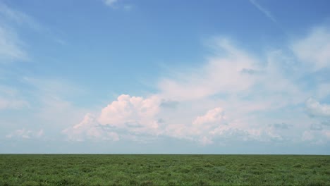 stormy dramatic storm clouds background and plains in africa in rainy season in serengeti national park in tanzania in africa, copy space and horizon with dramatic sky