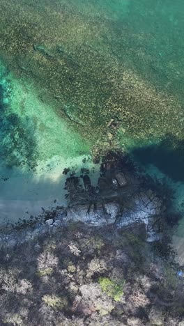 Vertical-aerial-view-captures-of-corals-and-reefs-adorning-the-coastline-of-Huatulco