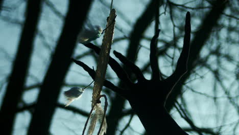 largos dedos de espíritu maligno alcanzan el atrapasueños que cuelga del árbol