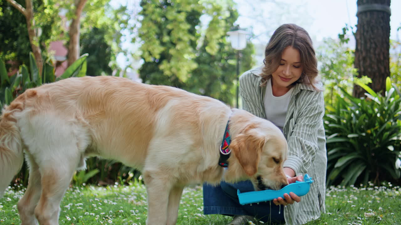 Woman offering water dog in sunny park closeup. Healthy golden retriever licking