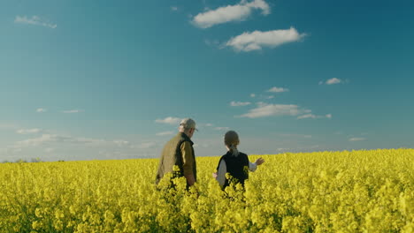 farmers inspecting a rapeseed field