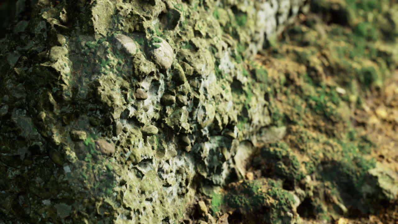 Mossy Rocks and Stones