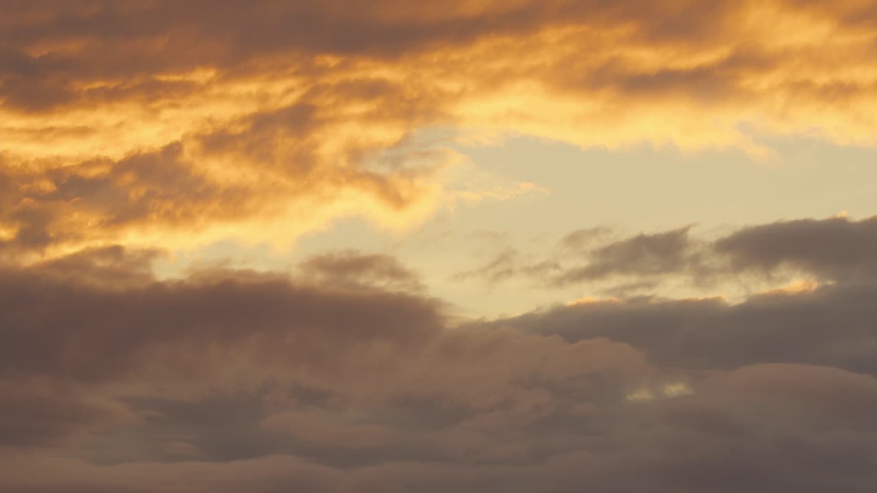 A zoomed shot of a very colorful cloud covered sky above treetops during sunset, pan down shot