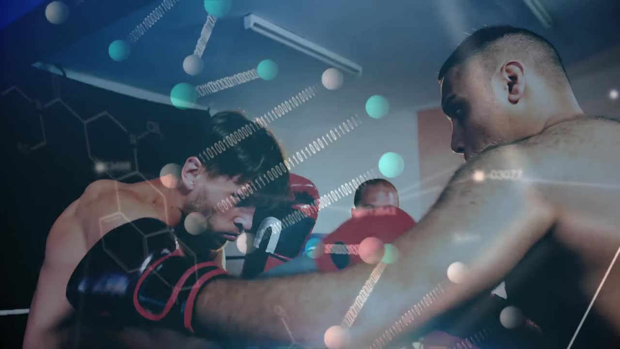 경기 중의 권투 선수들과의 데이터 처리 애니메이션