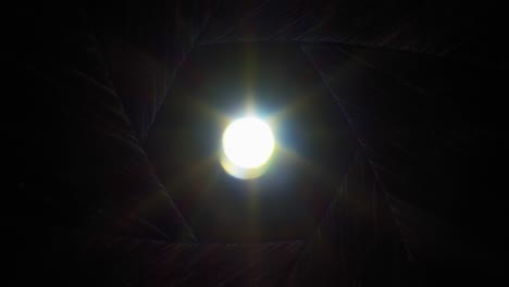 las cuchillas del diafragma se abren rápidamente con los rayos del sol que brillan a través de la lente de la cámara vieja, se desvanecen a blanco