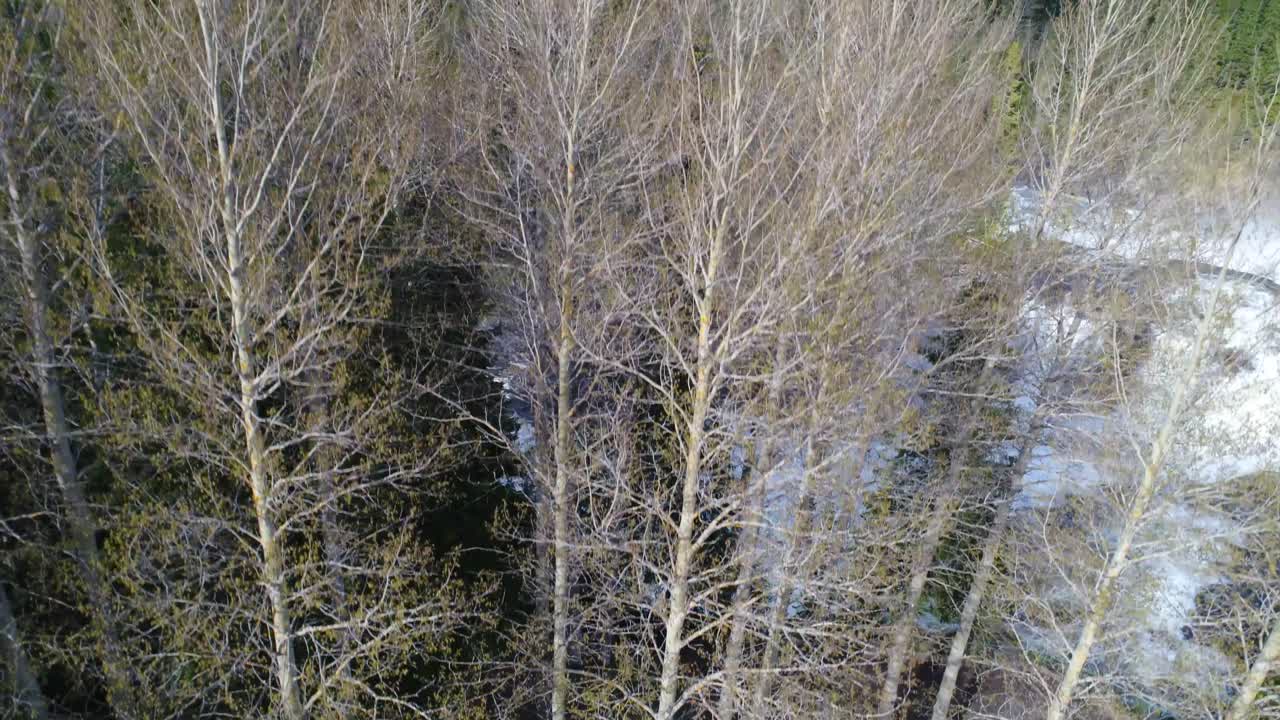 Ristafallet waterfall in the western part of Jamtland is listed as one of the most beautiful waterfalls in Sweden.