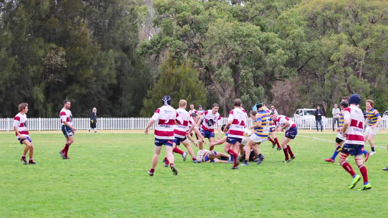 선수들은 야외에서 역동적인 럭비 경기에 참여합니다.